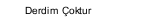 Derdim &Ccedil;oktur